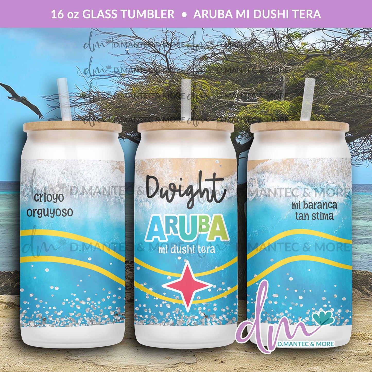 T16 - Aruba Mi Dushi Tera | Glass Can Tumbler