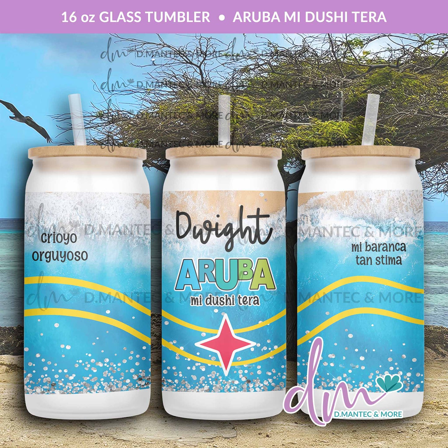 T16 - Aruba Mi Dushi Tera | Glass Can Tumbler